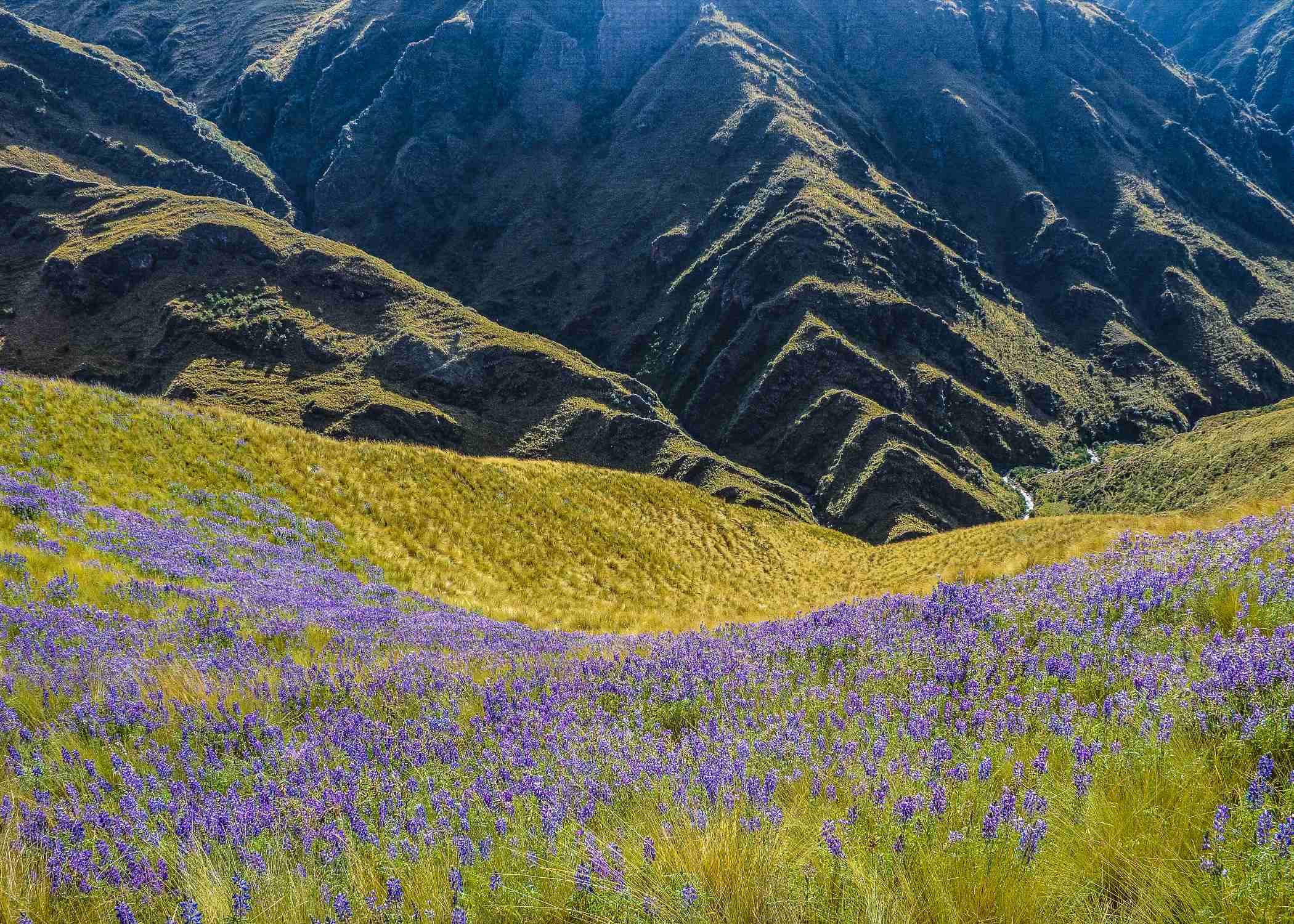 Sacred Valley of the Incas