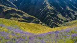 Sacred Valley