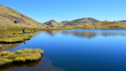 Lares landscapes