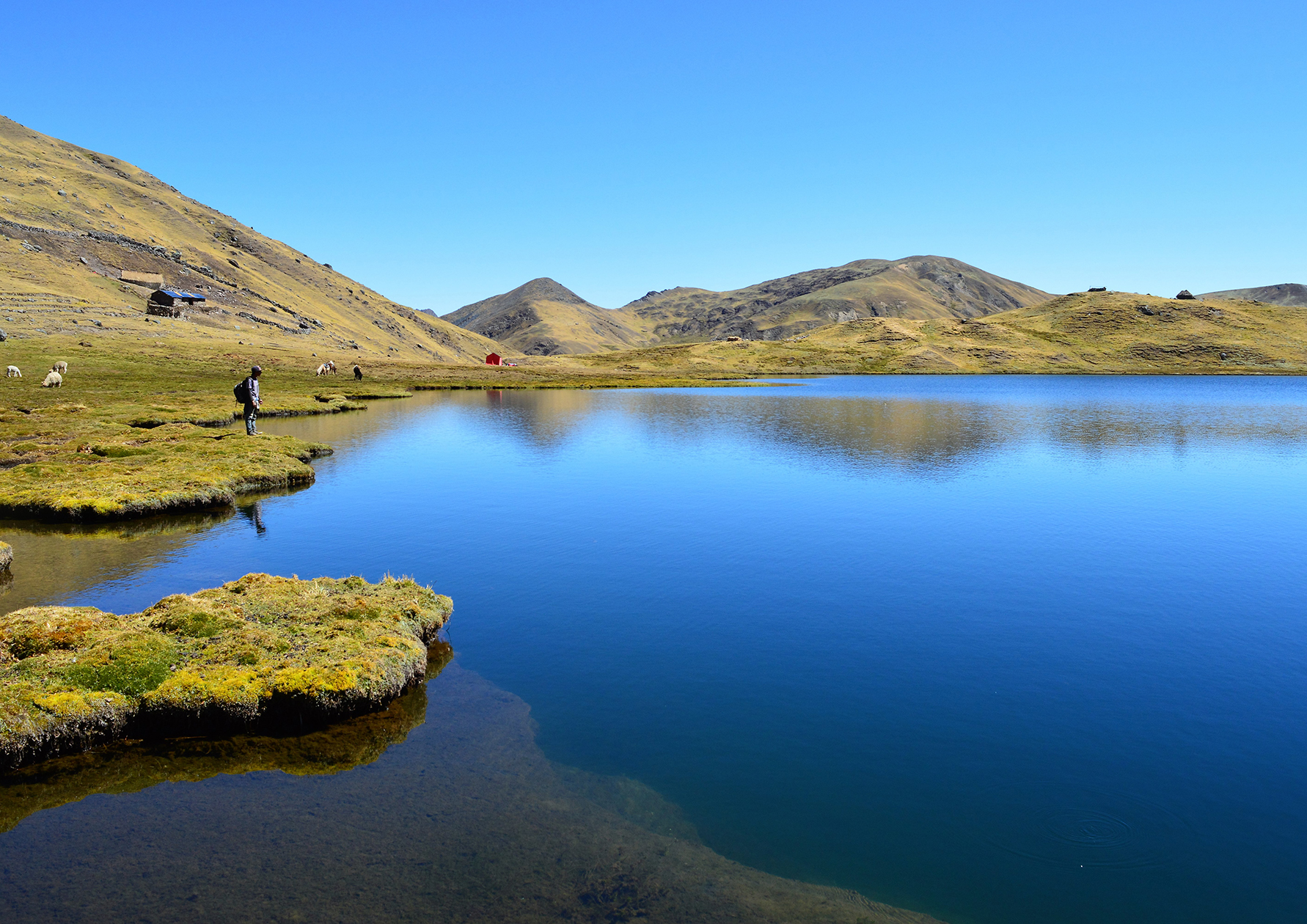 Lares, Peru